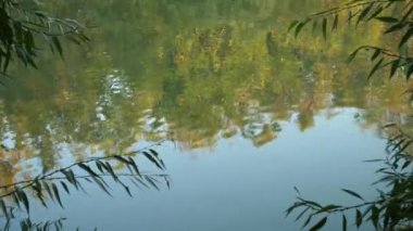 Yavaşça büyük ahşap bir iskelenin üzerinden göle doğru yürüyorlar ve göl suyunun üzerinde uçuyorlar. Bir dağ ormanı gölünde çam ağaçlarıyla birlikte turkuaz su. Mavi göl ve yeşil orman gölü havadan görünüyor.. 