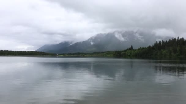 慢慢地走过一个巨大的木制防波堤 进入湖中 在湖水上空飞翔 山林湖中的绿松石水 有松树 蓝湖和绿林湖的空中景观 — 图库视频影像