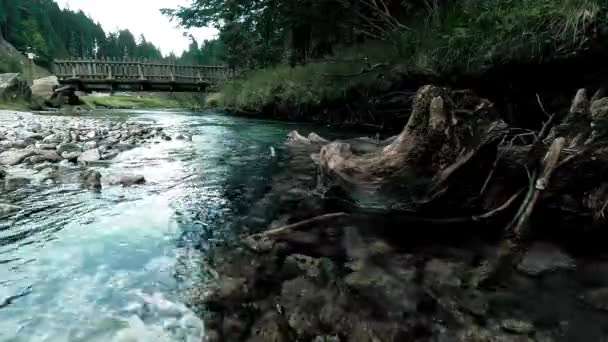 Camminando Lentamente Grande Molo Legno Lago Sorvolando Acqua Del Lago — Video Stock