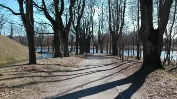 Marcher Lentement Sur Une Grande Jetée Bois Dans Lac Survoler — Video