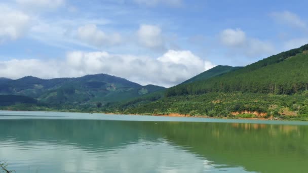Caminhando Lentamente Sobre Grande Molhe Madeira Lago Voando Sobre Água — Vídeo de Stock