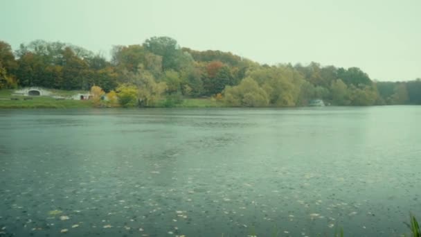 慢慢地走过一个巨大的木制防波堤 进入湖中 在湖水上空飞翔 山林湖中的绿松石水 有松树 蓝湖和绿林湖的空中景观 — 图库视频影像