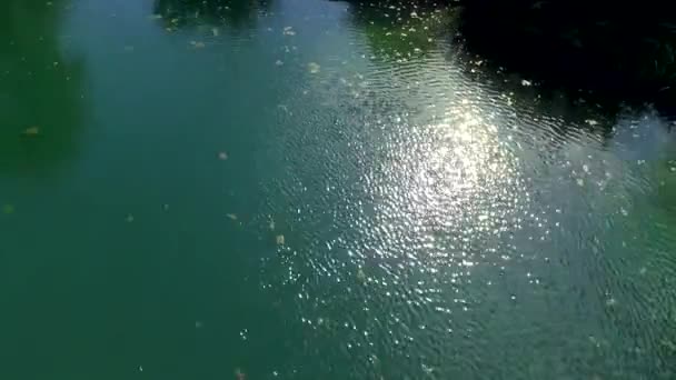 Slowly Walking Large Wooden Jetty Lake Flying Lake Water Turquoise — Stock Video