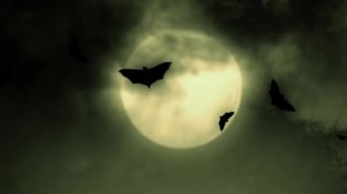 Cadılar Bayramı mumu - Siyah arka planda Cadılar Bayramı balkabağı döner ve gece parlayan korkunç yüze dönüşür. Cadılar Bayramı siyah arka planda parlayan balkabakları. Cadılar Bayramı Ekim tatili arka planı. Cadılar bayramı arkaplanı cadılar bayramı.