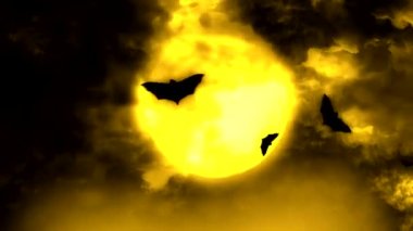 Cadılar Bayramı mumu - Siyah arka planda Cadılar Bayramı balkabağı döner ve gece parlayan korkunç yüze dönüşür. Cadılar Bayramı siyah arka planda parlayan balkabakları. Cadılar Bayramı Ekim tatili arka planı. Cadılar bayramı arkaplanı cadılar bayramı.