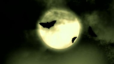 Cadılar Bayramı mumu - Siyah arka planda Cadılar Bayramı balkabağı döner ve gece parlayan korkunç yüze dönüşür. Cadılar Bayramı siyah arka planda parlayan balkabakları. Cadılar Bayramı Ekim tatili arka planı. Cadılar bayramı arkaplanı cadılar bayramı.