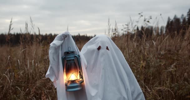 Halloween Glühende Kürbisse Mit Schwarzem Hintergrund Red Horror Halloween Hintergrund — Stockvideo