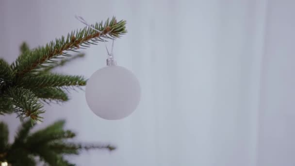メリークリスマスとクリスマスツリーの背景 シームレスなループビデオアニメーション クリスマスツリーと雪の結晶が落下してメリークリスマスのレタリングのかわいいアニメーション メリークリスマスお祝いクリスマスプレゼント背景 — ストック動画