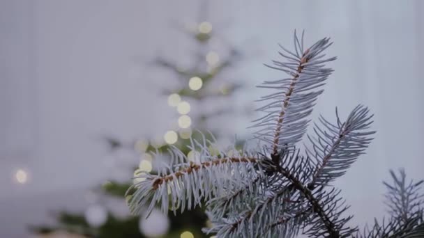 Feliz Natal Fundo Árvore Natal Animação Vídeo Loop Sem Costura — Vídeo de Stock