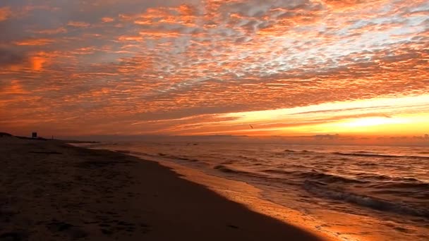 Piękna Tropikalna Plaża Falami Wodnymi Oceaniczne Fale Krajobrazy Wyspa Ocean — Wideo stockowe