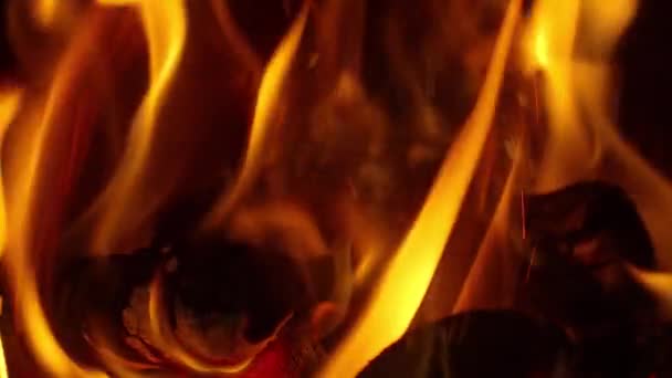 Las Chispas Fuego Que Elevan Con Canal Alfa Transparente Pueden — Vídeos de Stock
