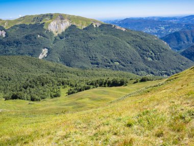 Yol boyunca dağın zirvesine doğru