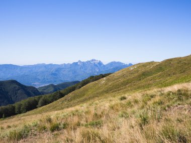 Yol boyunca dağın zirvesine doğru