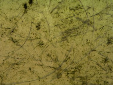 Yeşil çizgileri ile arka plan