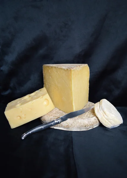 Assortiment de fromages de montagne — Photo