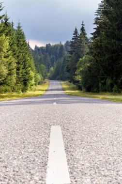 Dağ yolu