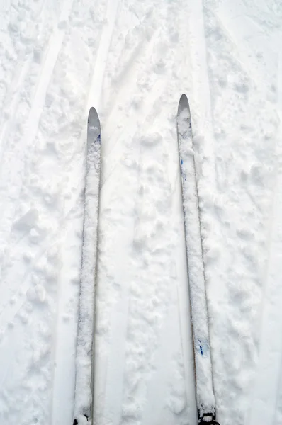 Une paire de skis — Photo