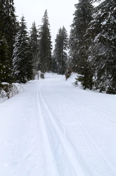 Declive de esqui para esportes de inverno — Fotografia de Stock