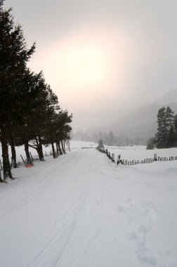 Kış sporları kayak pisti