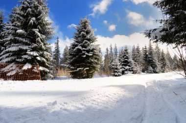 Kış sporları kayak pisti