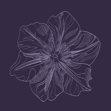 Vector hand-drawing flower clipart
