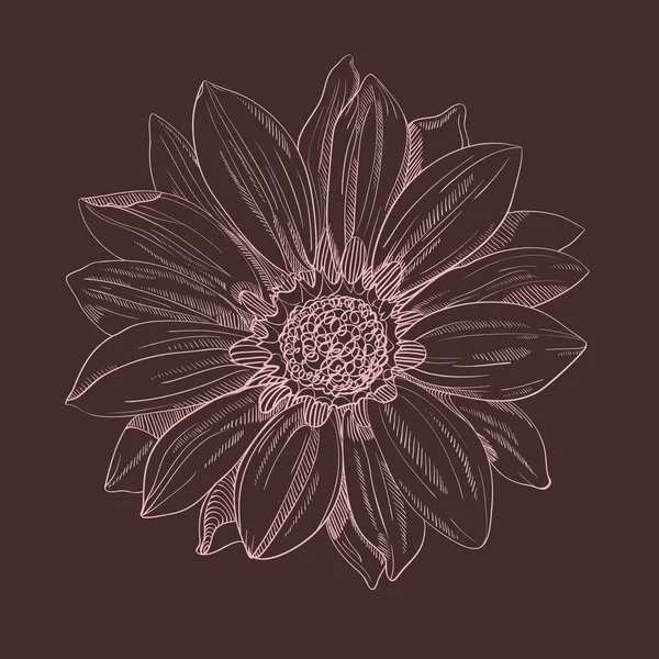 Vector de dibujo a mano flor — Archivo Imágenes Vectoriales