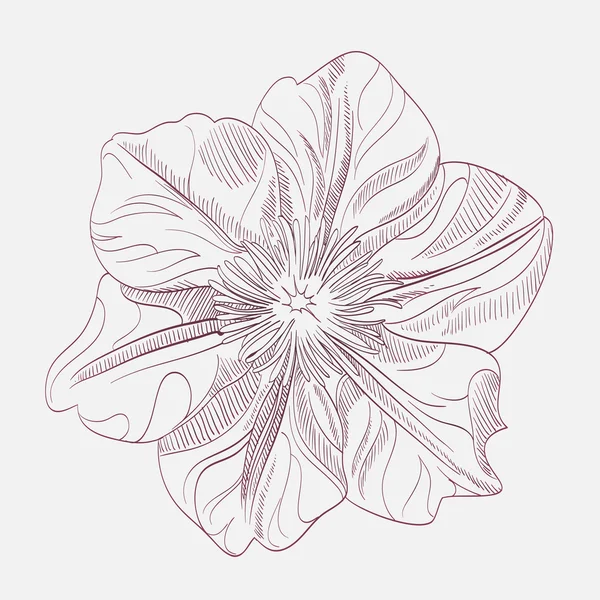 Flor de dibujo a mano — Archivo Imágenes Vectoriales