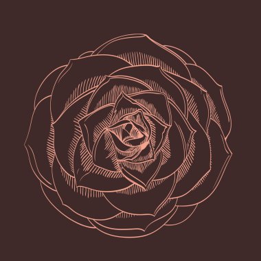 Vektör el çizim çiçek