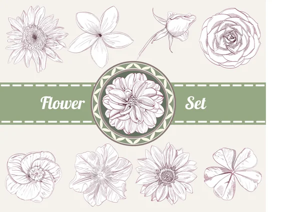 Vector hand-ritning blomma vintage set — Stock vektor