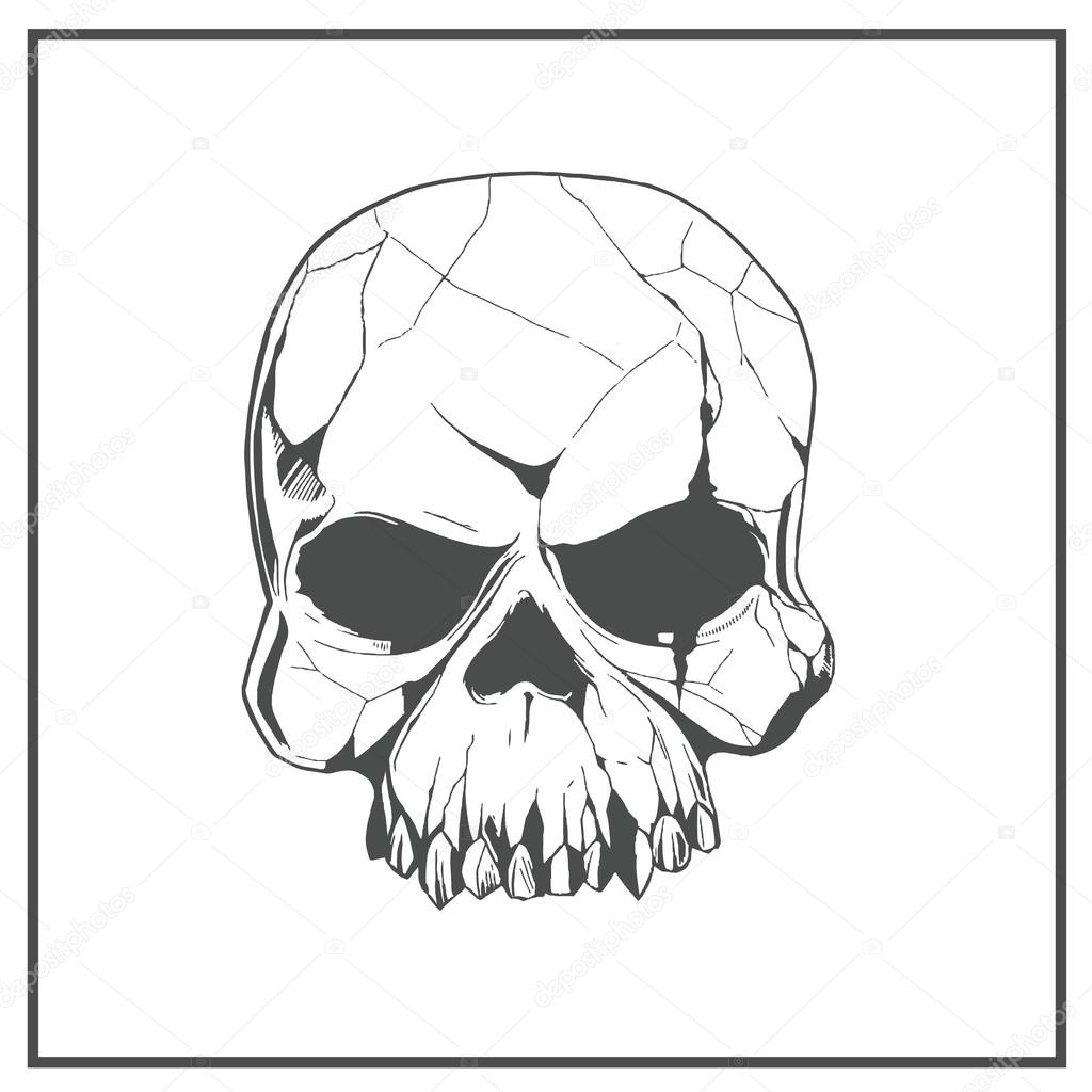 Hand drawn skull. The symbol day of the dead