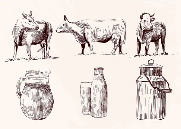 Inek, inek, çiftlik hayvanları — Stok Vektör