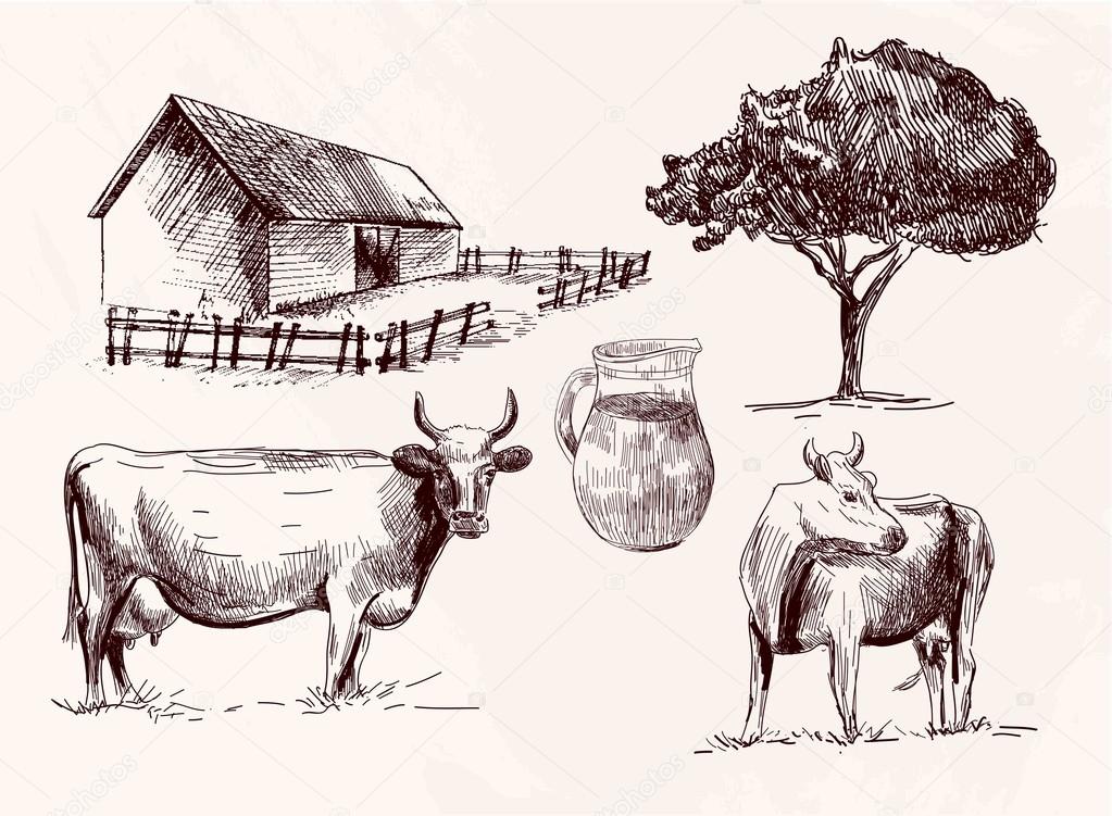 Cow. animal husbandry. Stock Vector Image by ©asyakuzmina #57687239 Cow. animal husbandry. Stock Vector Image by ©asyakuzmina #57687239