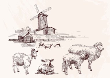 çiftlik koleksiyonu