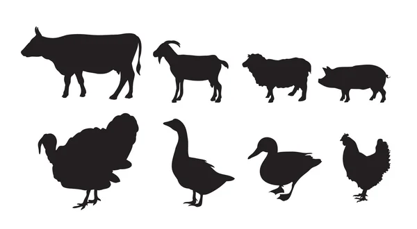 矢量农场动物 — 图库矢量图片