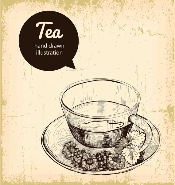 Illustrazione tè — Vettoriale Stock