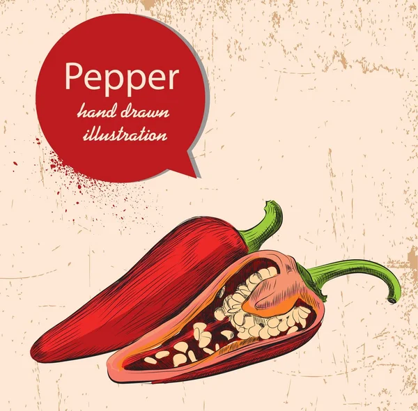 Rode peper illustratie — Stockvector
