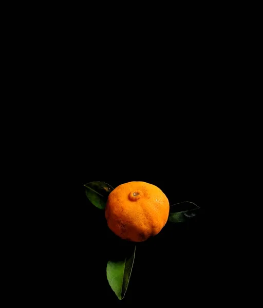 Mandarina Orgánica Con Hojas Verdes Sobre Fondo Negro Concepto Alimentos —  Fotos de Stock