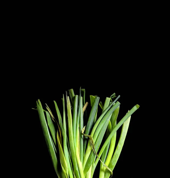 Ciboulette Crue Verte Tiges Sur Fond Noir Concept Alimentaire Asiatique — Photo