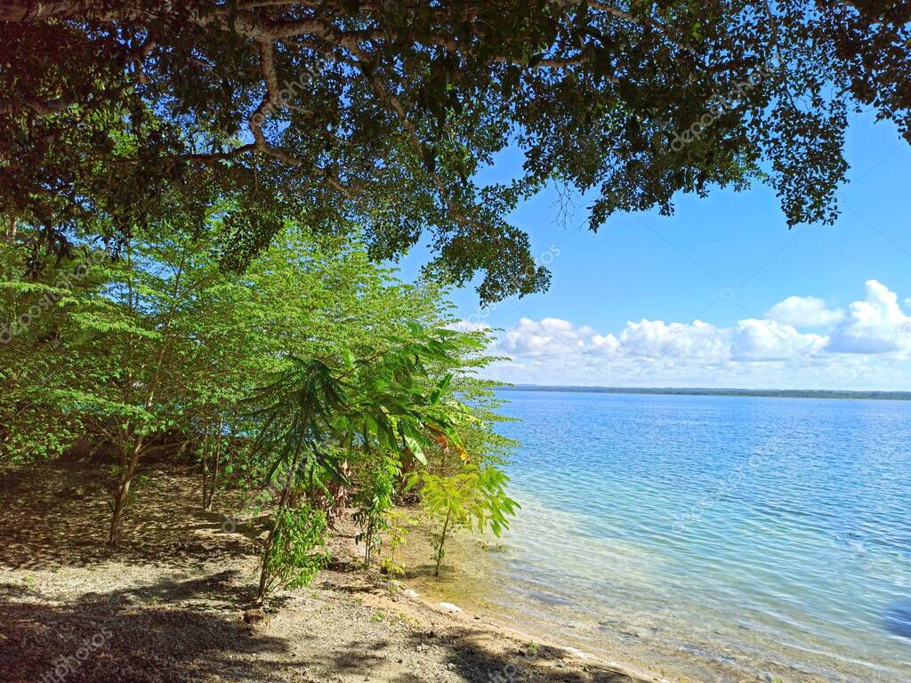 Vista de la orilla del lago Petén Itzá rodeada de árboles en un día