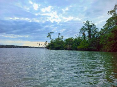 Izabal, Guatemala 'da gün batımında mangrov ağaçlarıyla Rio Dulce kıyısına bakın. Tatil kavramı
