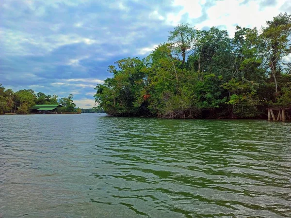 View Shore Rio Dulce Mangroves Izabal Guatemala Adventure Vacation Concept — Stock Photo, Image