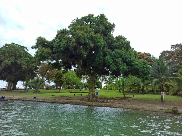 Uitzicht Bomen Castillo San Felipe Lara Zonnige Dag Livingston Izabal — Stockfoto