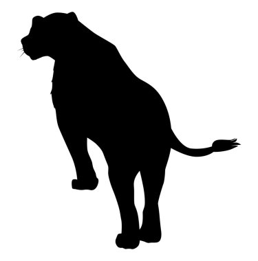 bir dişi aslan silüeti
