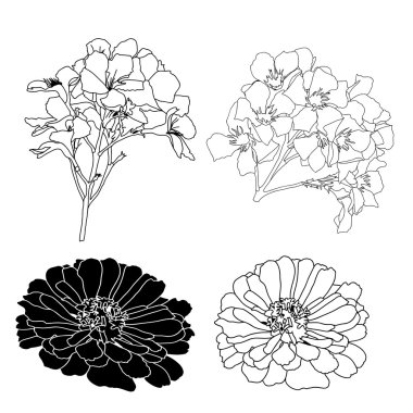 parlak çizgi film evi