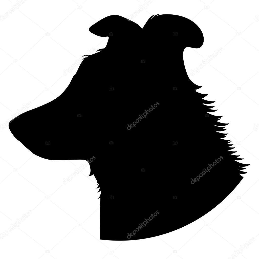 the silhouette of the muzzle of a dog