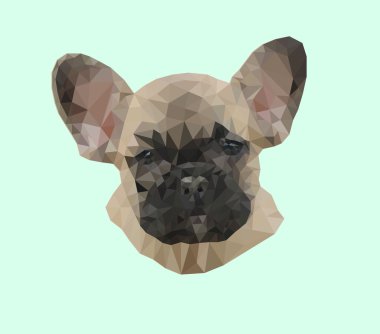 Bir Fransız buldozer'ın baş