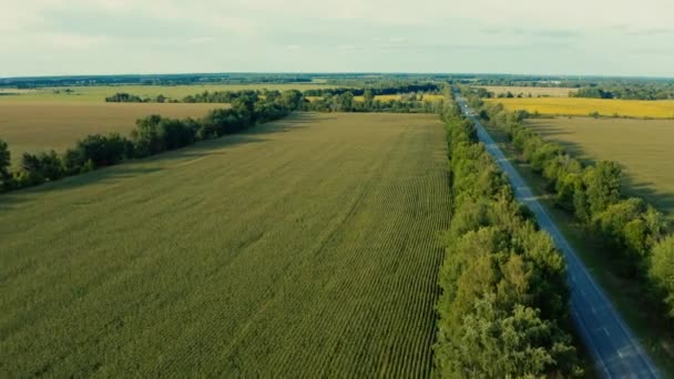 Krásný Letecký Pohled Letní Krajina Farmě Polí Blízkosti Dálnice Dron — Stock video