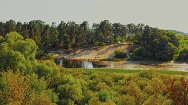 Nehir kenarında dinlenen insanların bulunduğu kumlu bir sahil manzarası. İnsansız hava aracı güneşli bir günde kumlu bir sahilde insanları rahatlatıyor. Çam ağaçlarının ve kuruyan bir nehrin üzerindeki hava manzarası.