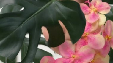 Temiz ciltli, genç ve güzel bir kadının yakından çekilmiş yüzü. Büyük yeşil yaprakları olan güzel beyaz kız. Güzellik ve kaplıca tedavisi konsepti. Doğal makyajlı güzel bir kadın ve yüzüne yakın bir bitki..