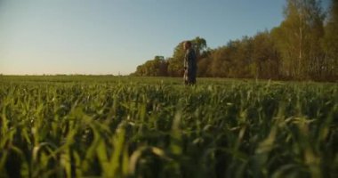 Çiftçi gün batımında genç yeşil bir tarlada yürüyor. Yetişkin çiftçi tarlasını geziyor ve kontrol ediyor. Tarım alanında yürüyen insanlar. Yüksek yeşil çimlerde yürüyen kişi